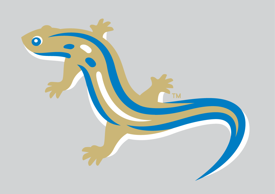 Holly Springs Salamanders 2015-Pres Alternate Logo v2 iron on heat transfer